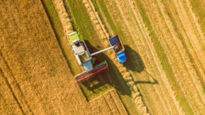 Farmers Plowing Field in San Jose